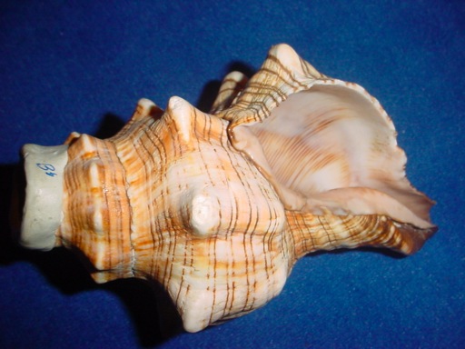 DSC04697