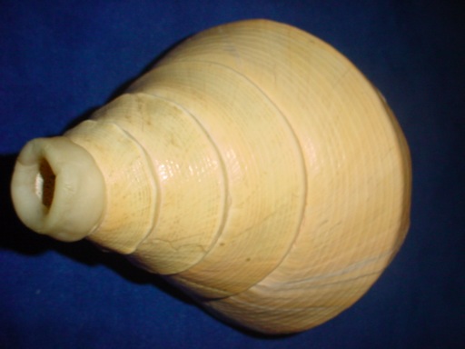 DSC04699