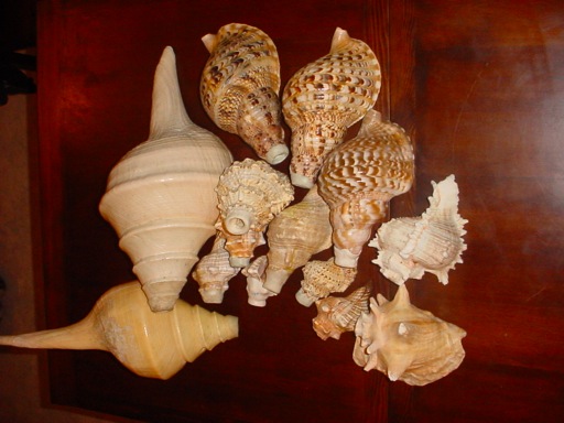 DSC04711